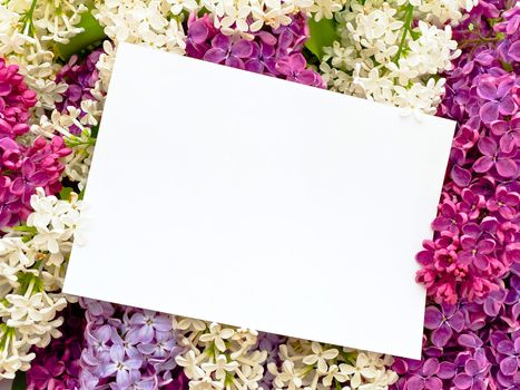 Photo of the pink white and purple lilac with invitation