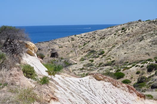 Grassy hill, landscape. Hallett Cove, Australia.