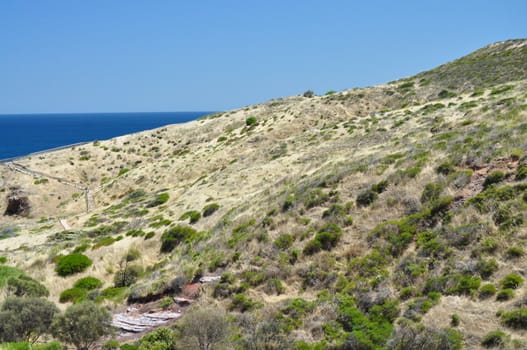 Grassy hill, landscape. Hallett Cove, Australia.