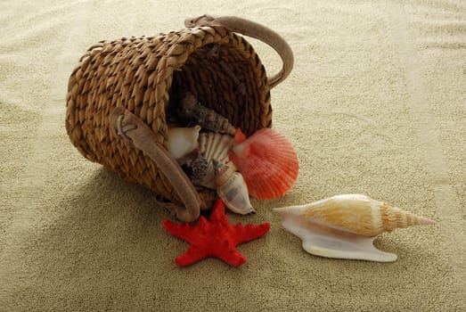 Shells spilled from interwoven basket onto sand colored towel