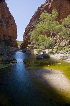 desert pond in the red center desert, northern territory australia