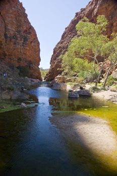 desert pond in the red center desert, northern territory australia