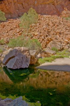desert pond in the red center, northern territory, australia