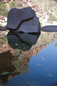 desert pond in the red center, northern territory, australia