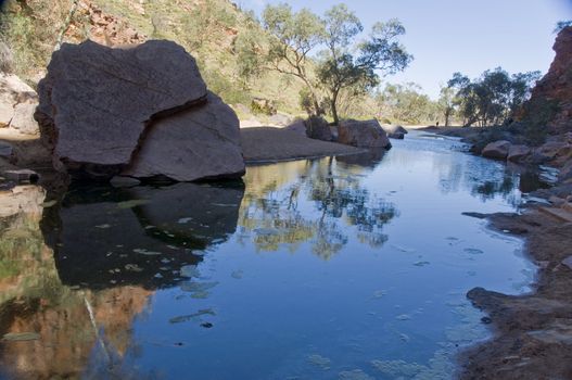 desert pond in the red center, northern territory, australia