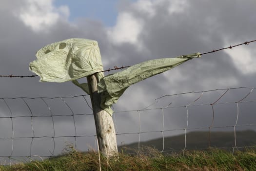 Green plastic sheet wrapped around a wooden fence post, abstract view of human refuge in the environment.