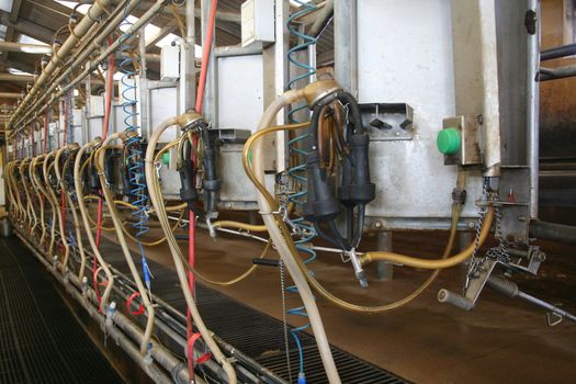 Milking barn equipment background for a dairy farm