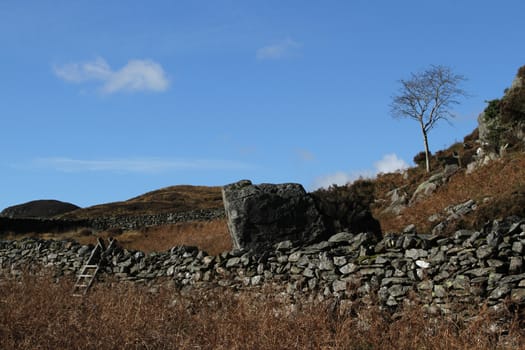 Wooden steps over a stone wall on moorland with bracken a boulder and tree.