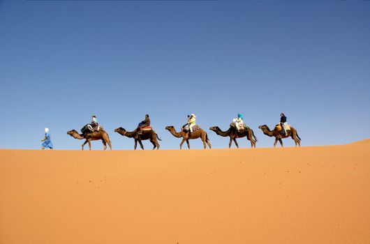 Camel caravan in the Moroccan Sahara