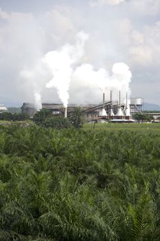 Image of a palm oil factory with an oil palm estate in the foreground at Johore, Malaysia.
