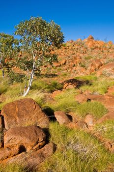 landscape in the australian outback, northern territory