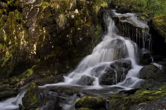 waterfalls in a mountain brook
