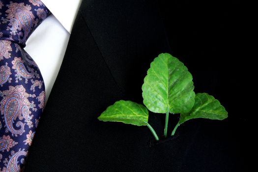 Black suit, shirt and tie with three green leaves on lapel