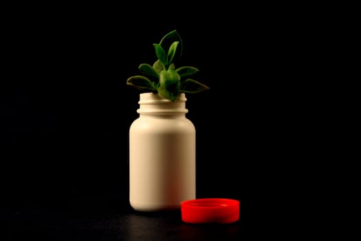 Small green plant in white pill bottle with red cap