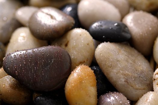 Wet river rocks