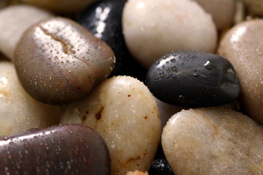 Wet river rocks