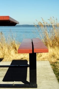 A bench near the beach with calm and quiet surrounding