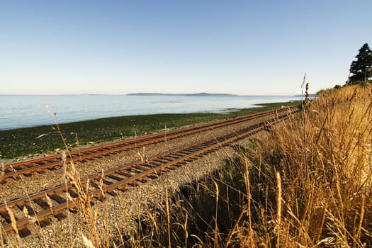 Railroad tracks next to the sea