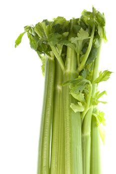 Isolated macro image of fresh celery.