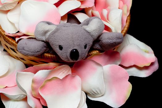 Artificial pink rose textile petalsand toy koala in basket on black
