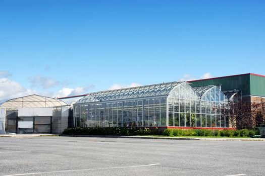Greenhouse and nursery of a large hardware store.