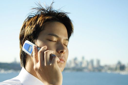 Businessman making a phone call