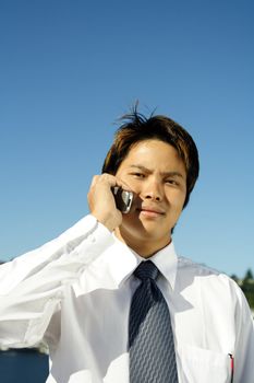 Businessman making a phone call