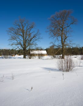 Winter