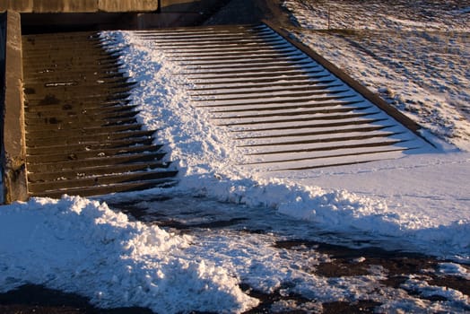 Winter