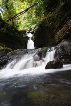 A tranquil rainforest cascade above La Mina Falls in Puerto Rico.