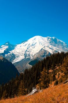 Mount Rainier during summer time