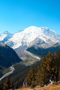 Mount Rainier during summer time