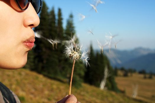 Make a wish by blowing on dandelion