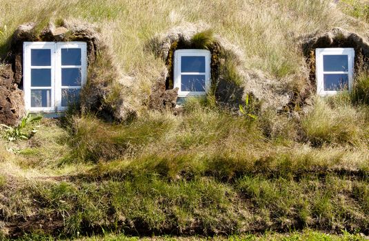 Typical mossy wall in Icelandic farm.