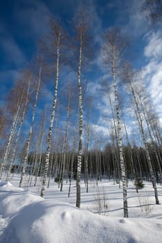 snow winter