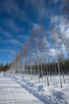 snow winter