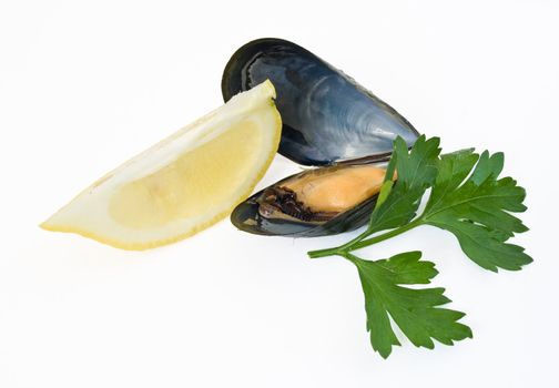 close up of fresh boiled mussel with parsley and lemon  isolated on white background