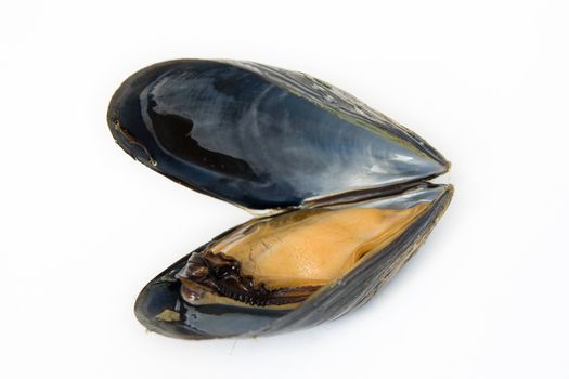close up of fresh boiled mussel isolated on white background