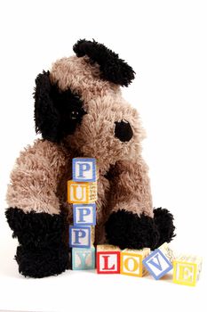 Stuffed Puppy dog with childrens blocks spelling puppy love.