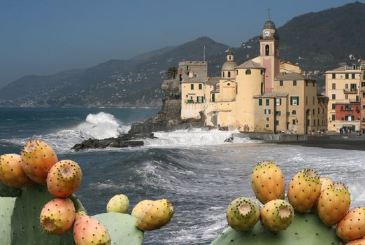 seaside and church in Camogli, small town near Genova, italy