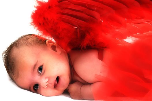 baby in studio smiling and wearing red angle wings