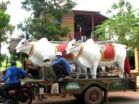 For weddings, there is always the representation of cattle in custom Khmer.