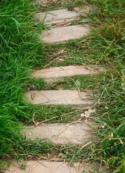 path  and green grass. Woden step