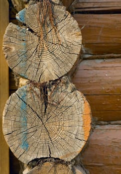 Texture, a wall made of wooden logs