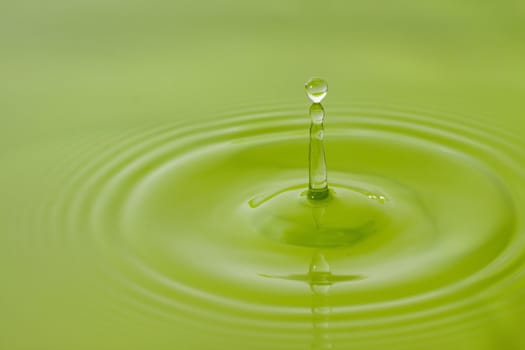 water drop, green background