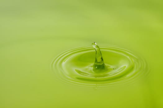 water drop, green background