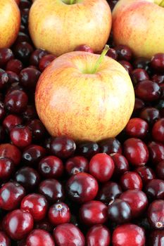 Background of delicious fresh apples and cranberries.