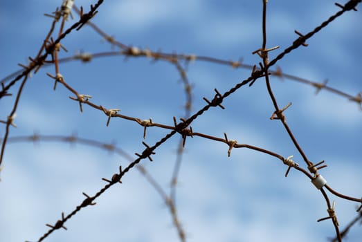 Barbed wire on blue sky background as concept of limited freedom