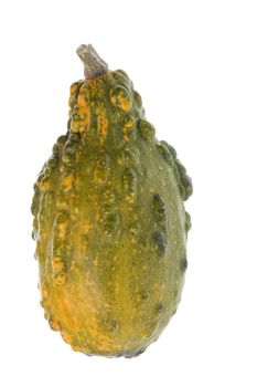 Isolated image of a fresh ornamental gourd.