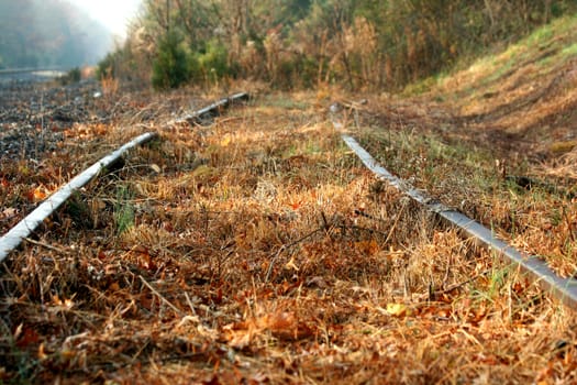 Abandoned Railroad tracks